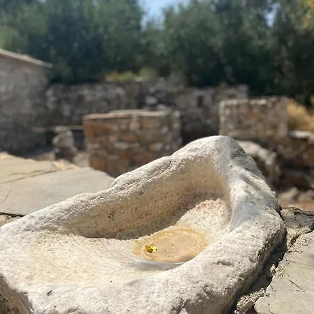 Terra Petra Mani * Кита