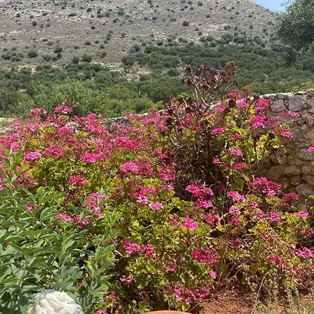 Апартаменты Terra Petra Mani Кита